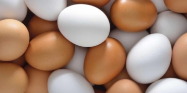 Yumurtadaki Besin Değerini Koruyan En Sağlıklı Pişirme Yöntemleri Açıklandı